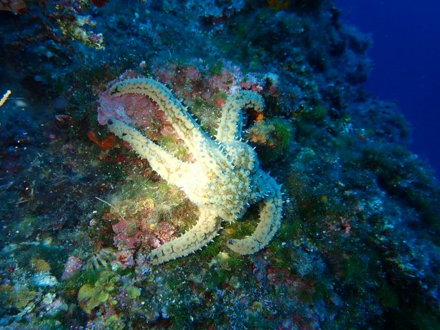 foto 22.06.19 19 39 06